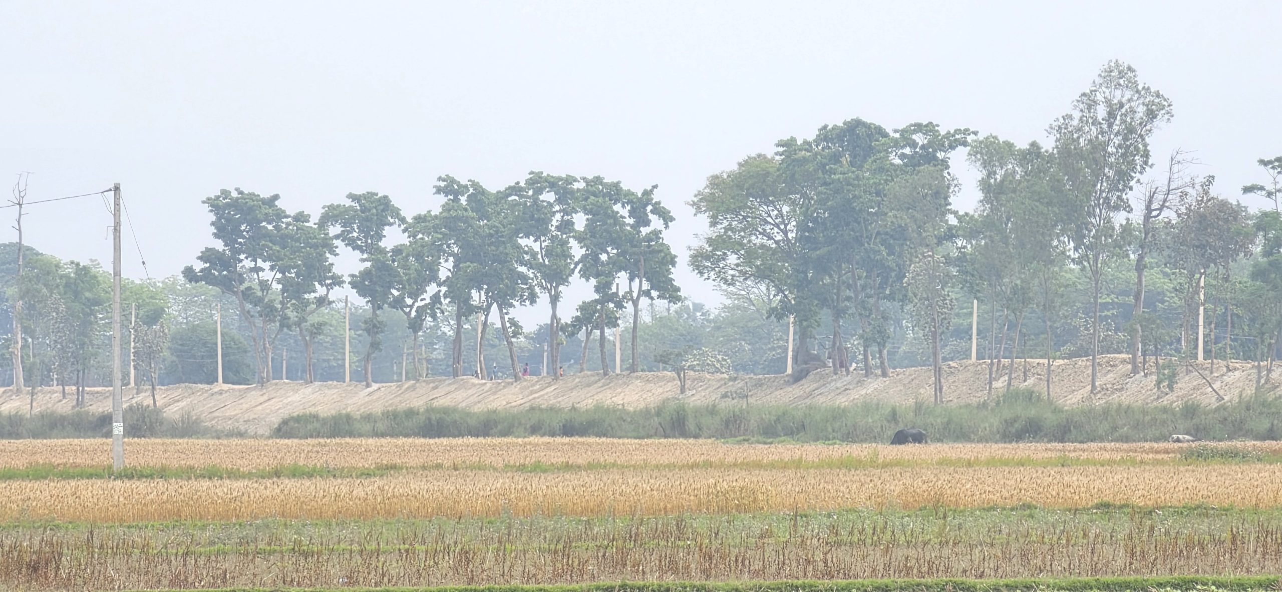 भारतद्वारा सीमा क्षेत्रमा एकतर्फी बाँध निर्माण : रौतहटको गौरसहित दर्जनौँ गाउँ डुबानको उच्च जोखिममा