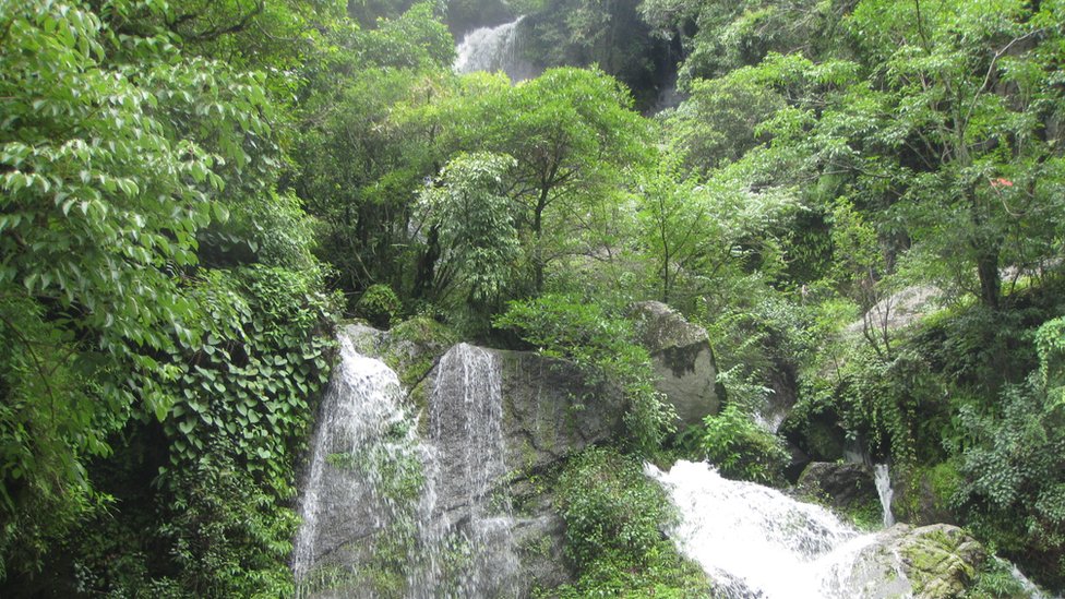 ६० प्रतिशत विदेशी पर्यटकद्वारा नेपालका संरक्षित क्षेत्रको भ्रमण