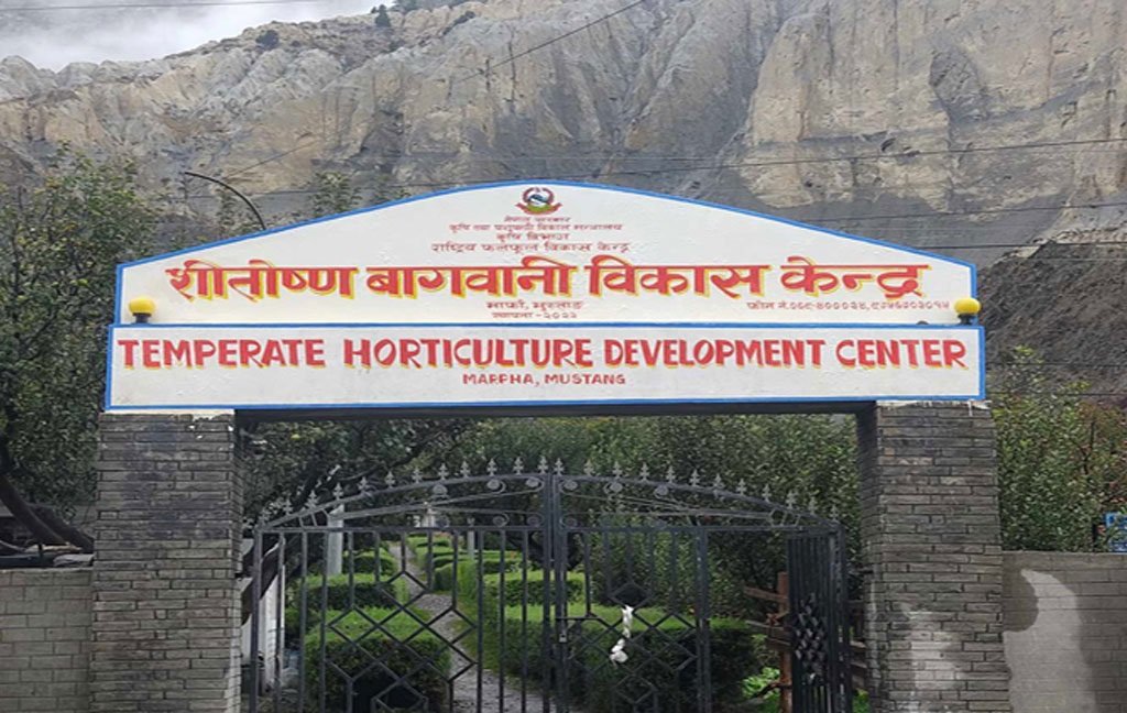 मुस्ताङको ‘ब्रान्डी इतिहास’मा नीतिगत पूर्णविराम : प्रविधि सिकाउने सरकारी उद्योग नै बन्द