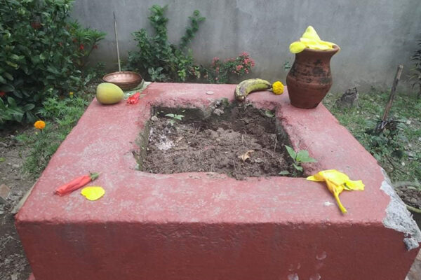 आज निर्जला एकादशी : घरआँगनका मठमा तुलसीको दल राखिँदै