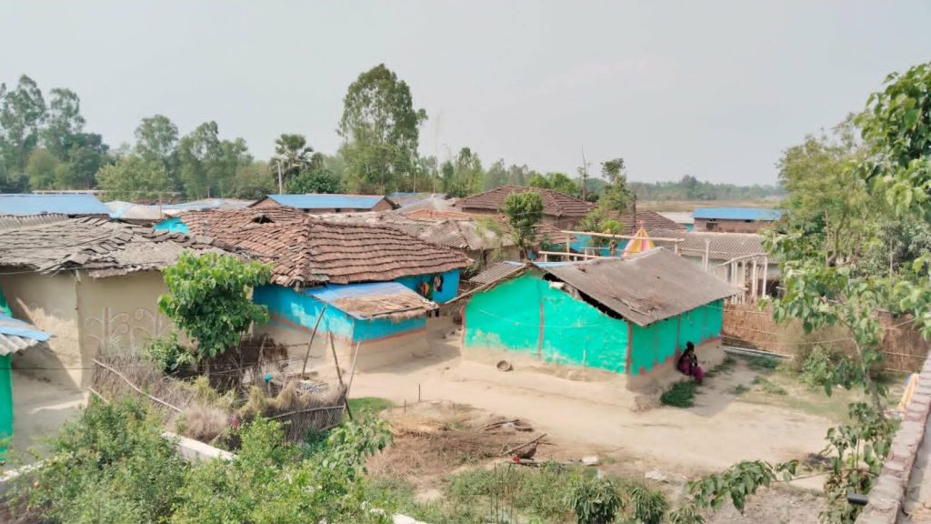 कागजमा ‘खुला दिसामुक्त राष्ट्र’, व्यवहारमा मुसहर बस्ती अझै शौचालयविहीन