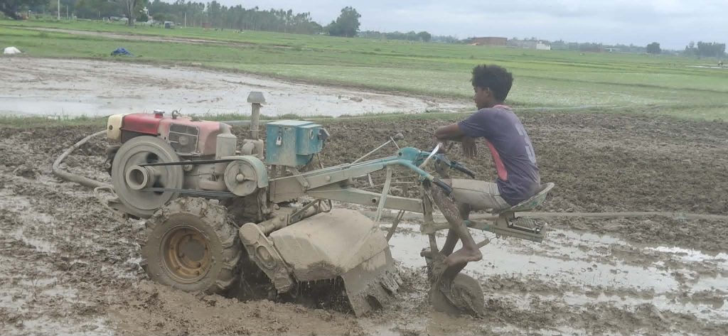बाँकेमा फेरियो धान रोपाइँको शैली : खेतमा गोरु हराए, यान्त्रिकीकरणमा बढ्यो आकर्षण