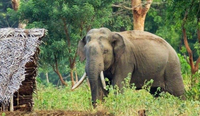 ‘सिरियल किलर’ ध्रुवे अब प्रविधिको फन्दामा : प्रत्येक १० मिनेटमा निकुञ्जलाई ‘लोकेशन अपडेट’