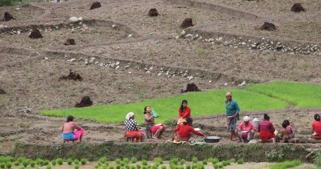 दिगो कृषि र वातावरण संरक्षणका लागि नेपालमा जापानी प्रविधि र लगानी भित्रिँदै