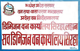 सिरहामा वन अतिक्रमण हटाइयो : संरक्षण र सौन्दर्यीकरणका कार्यक्रमले तीव्रता पाउँदै