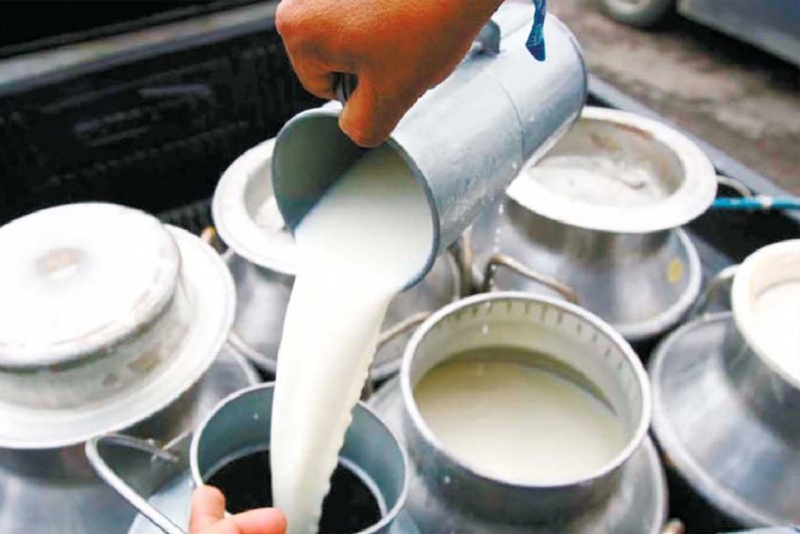 दुग्ध क्षेत्रको विकासका लागि उद्यमशीलता र पूर्वाधारमा लगानी आवश्यक : सरोकारवाला