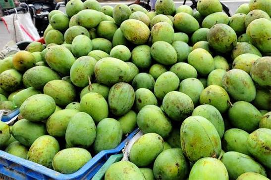 महोत्तरीमा सिजन अगावै रित्तियो आँप