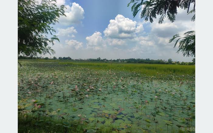 नेपालगञ्जको पर्यटकीय गौरव ‘कान्तिताल’ उपेक्षित : १० करोडको लगानी बालुवामा पानी