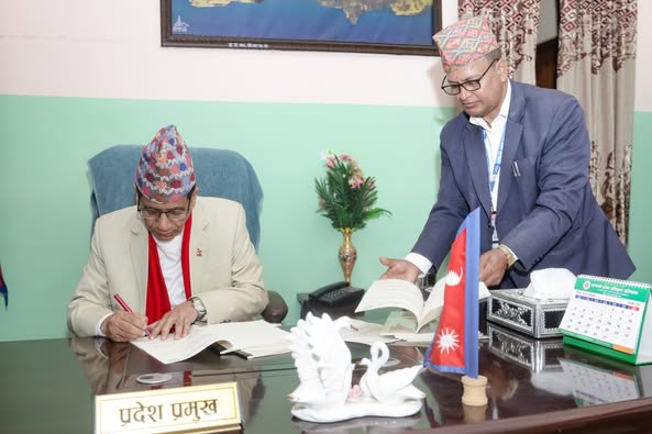 गण्डकी प्रदेशमा गाँजाखेतीले पायो कानुनी मान्यता : प्रदेश प्रमुखद्वारा विधेयक प्रमाणीकरण