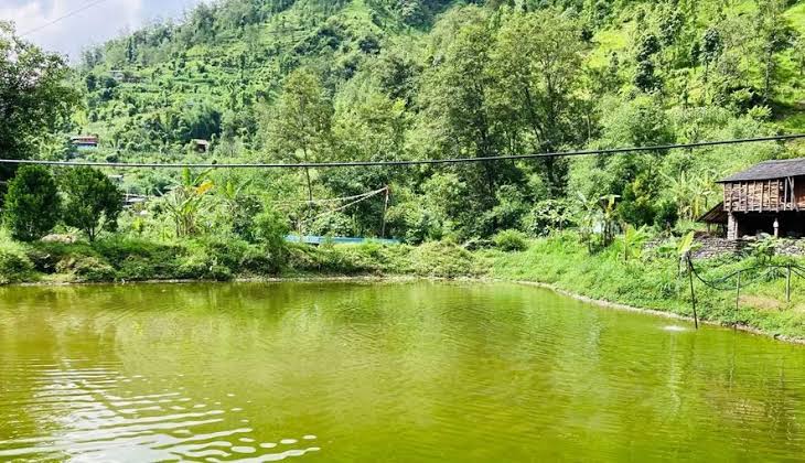 स्याङ्जामा ‘एक सामुदायिक वन-एक पोखरी’ अभियान प्रभावकारी : हालसम्म ३४ पोखरी निर्माण