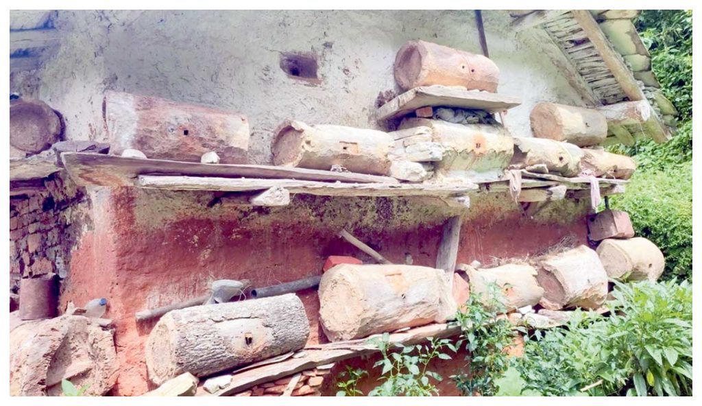 मौरीपालनबाट बैतडीका विष्टको लोभलाग्दो आम्दानी : सडक र भिरमा समेत घारैघार