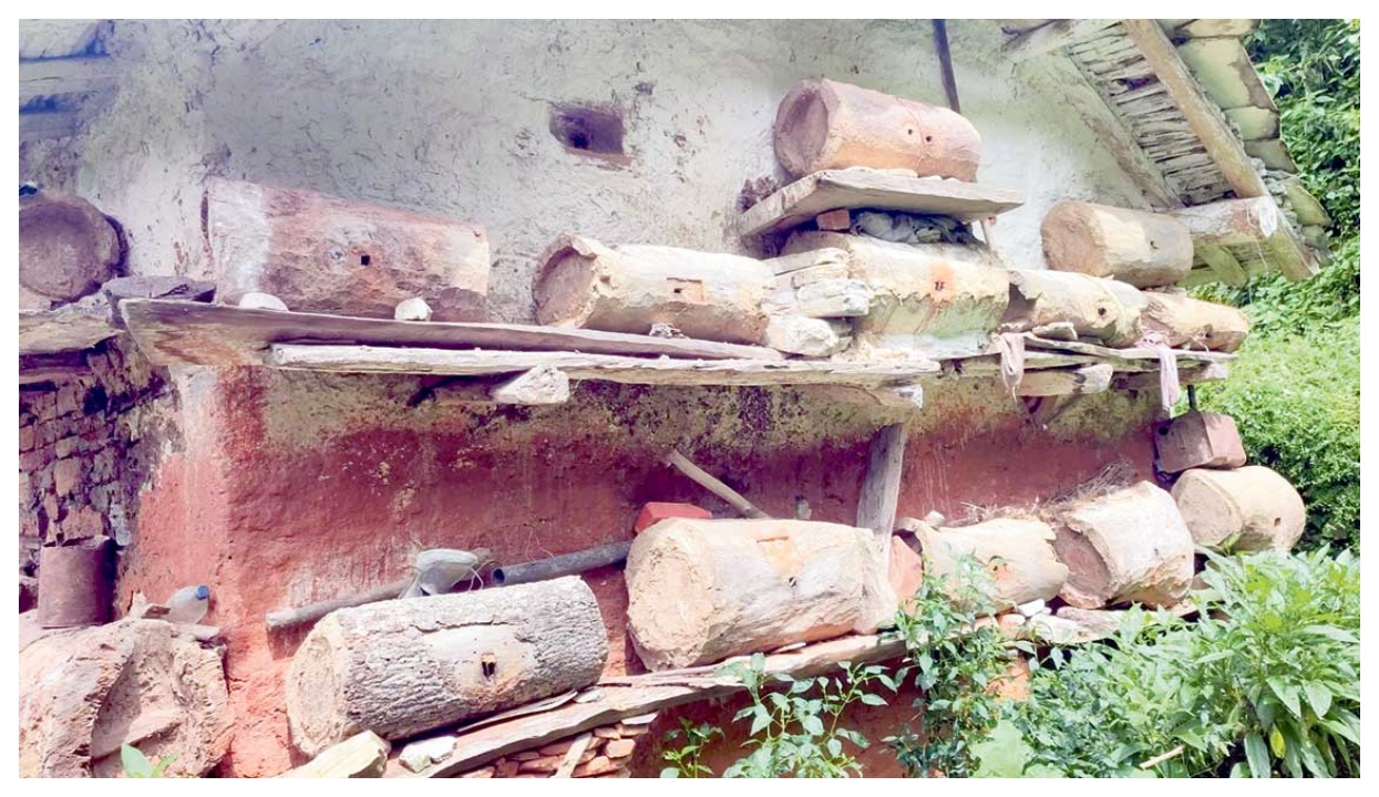 मौरीपालनबाट बैतडीका विष्टको लोभलाग्दो आम्दानी : सडक र भिरमा समेत घारैघार