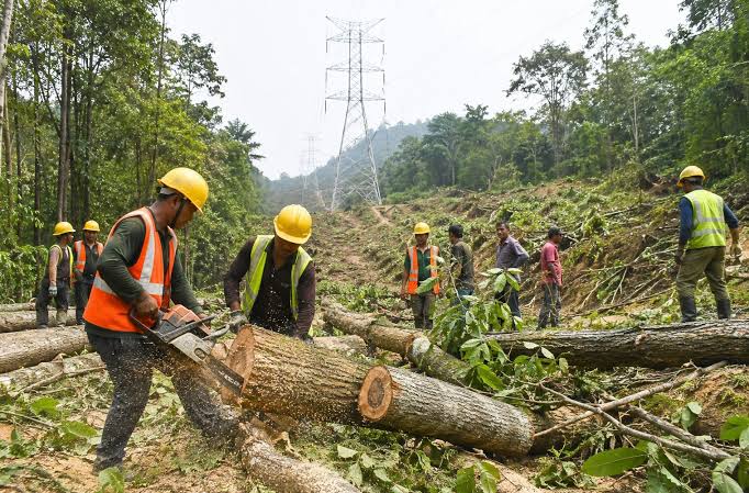 दमौली-भरतपुर २२० केभी प्रसारण लाइनका लागि सबै सामुदायिक वनमा रुख कटान स्वीकृति
