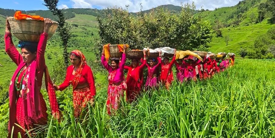 सुदूरपश्चिममा धार्मिक विधिपूर्वक गौरा पर्व मनाइँदै : आज न्वालोमा ‘बिरुडा’ धोइँदै