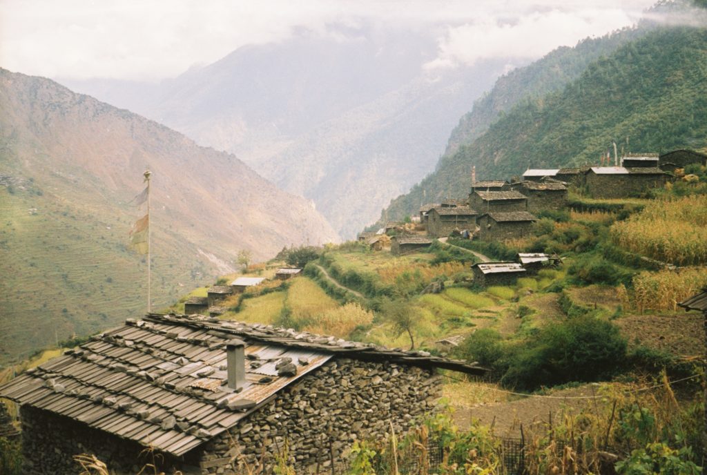 सडक सञ्जाल विच्छेद भएपछि गत्लाङका बन्दागोभी किसान चिन्तित