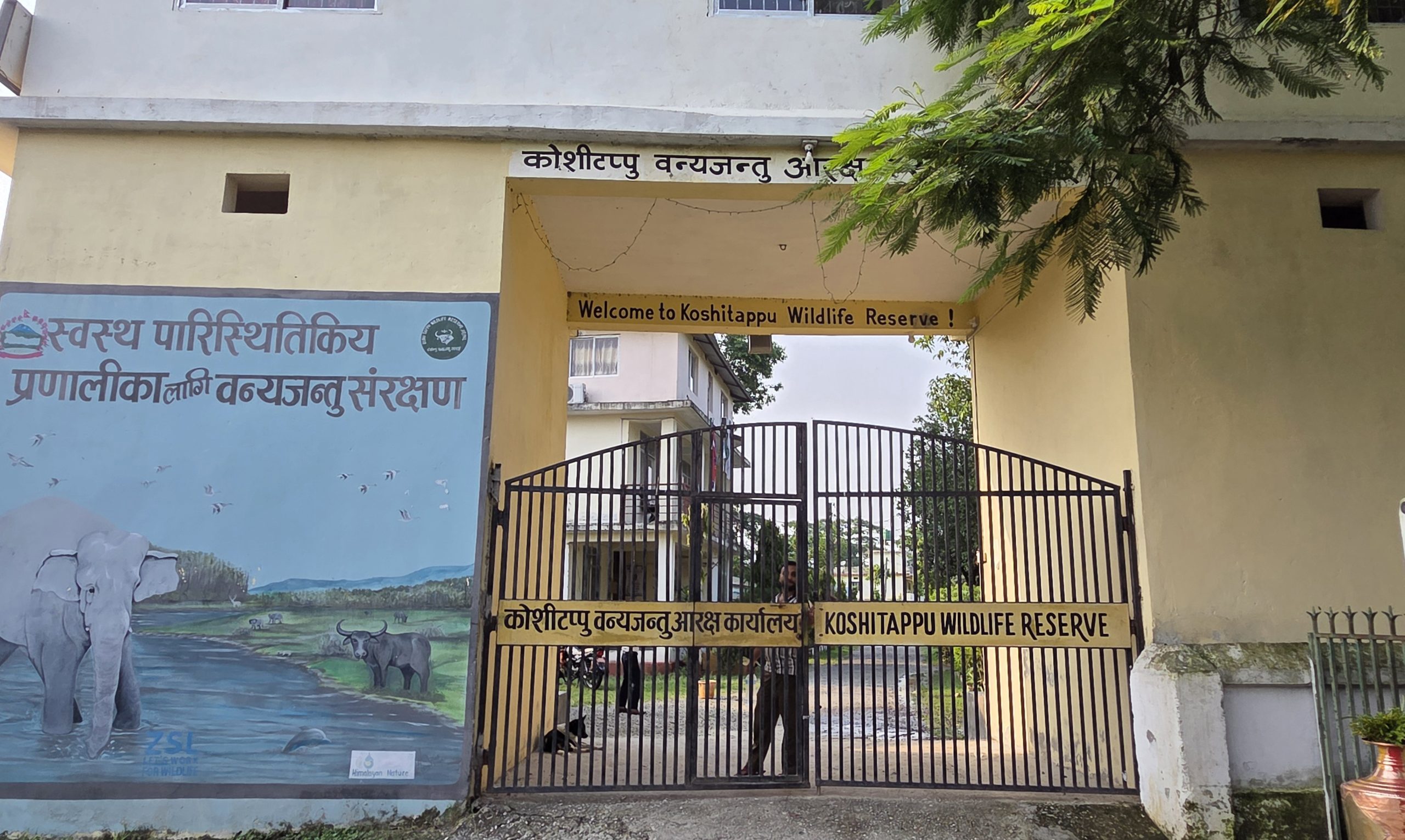 प्रचुर सम्भावना भए पनि कोशी टप्पुमा विदेशी पर्यटक न्यून : ८ वर्षमा ९० हजारमध्ये २ हजार मात्रै विदेशी