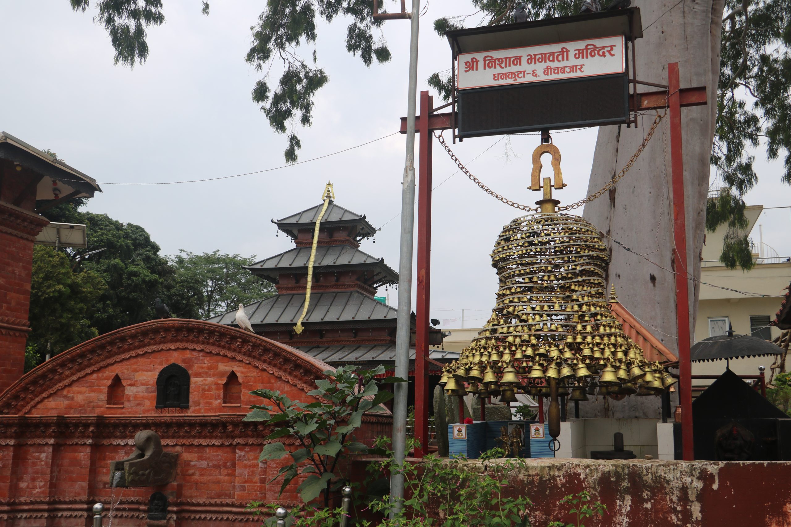 धनकुटाको निसान मन्दिरको महाघण्टी : पुराना घण्टीको संरक्षणसँगै बनेको पर्यटकीय आकर्षण