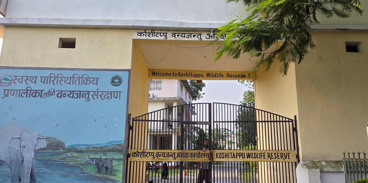 कोशी टप्पु : जैविक विविधताको खानी, प्रचारको खडेरी