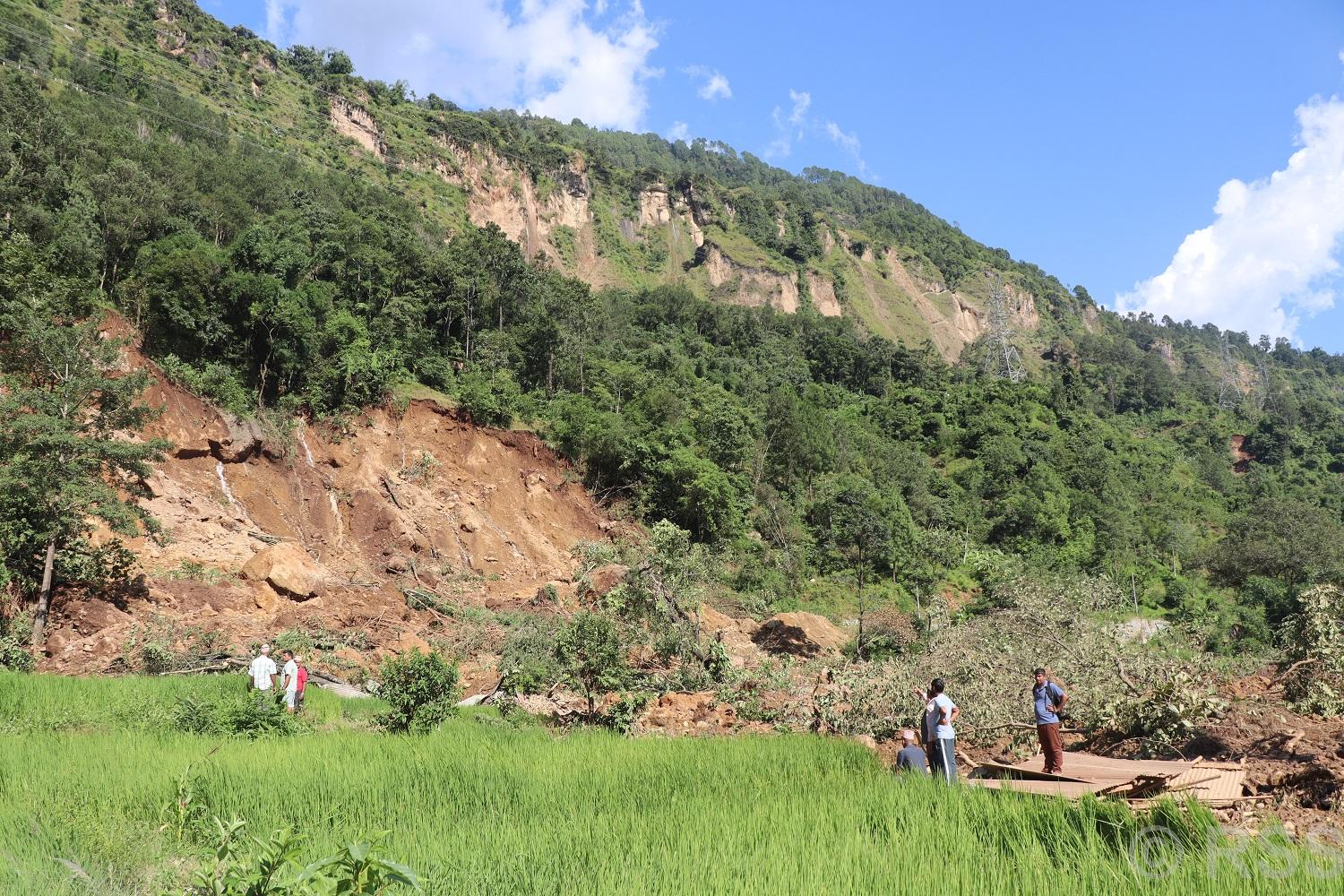 पहिरोले लामाबगरमा चार घर र दुई गोठ पुरिए, एक जना घाइते