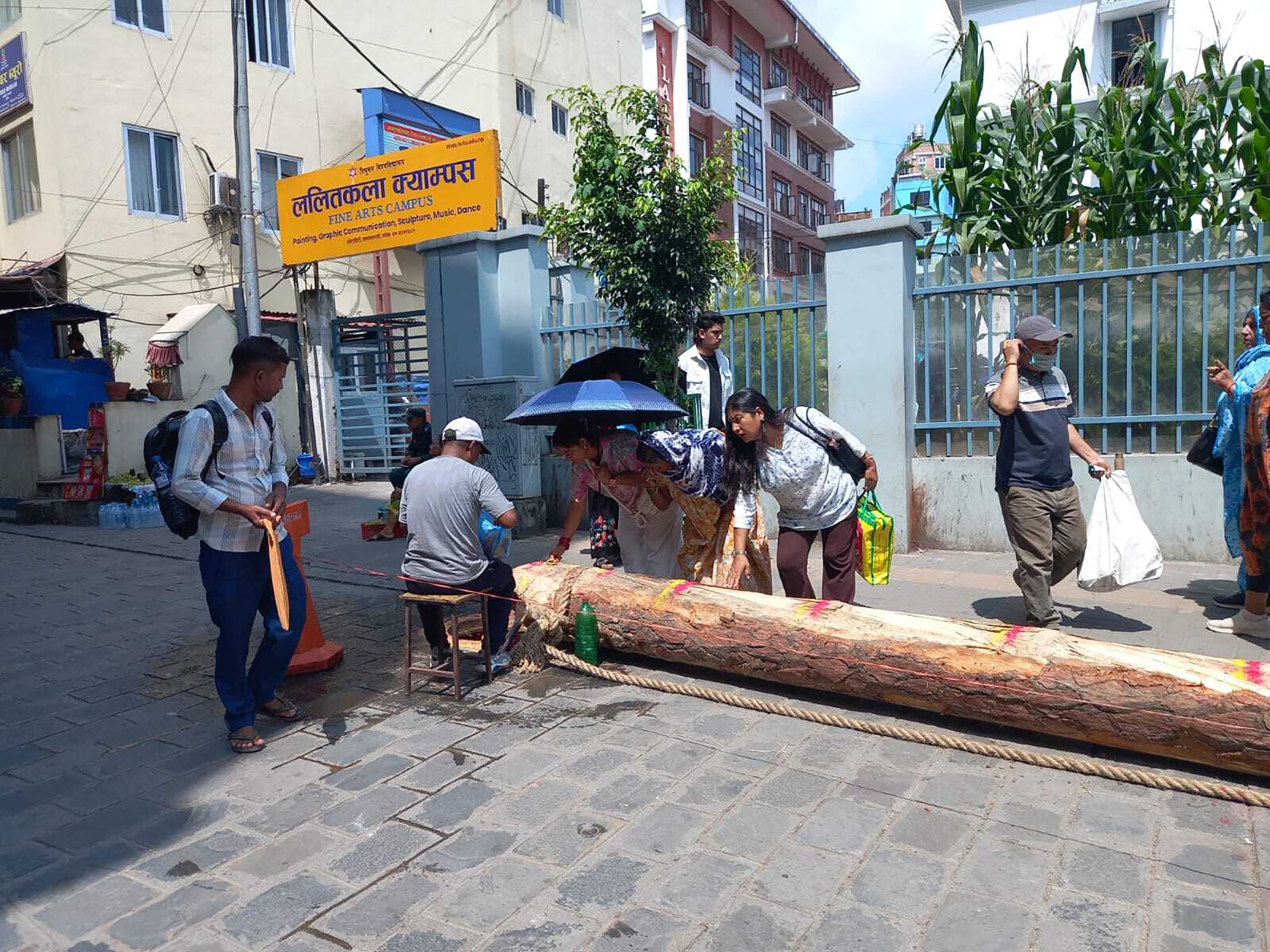 इन्द्रजात्राका लागि इन्द्रध्वजको प्रतीक यंःसिं भोटाहिटी पुर्‍याइयो, शनिबार हनुमानढोका प्रवेश गराइने