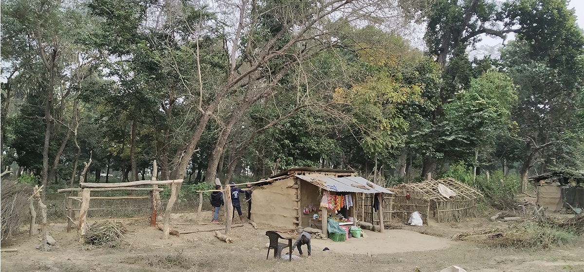 बाँकेमा ६०७ हेक्टरभन्दा बढी वनक्षेत्र अतिक्रमणमा, झण्डै चार हजार घरटहरा निर्माण