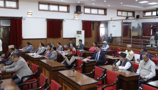 राष्ट्रियसभामा सर्वोच्च आगलागी र दुई हत्याको निष्पक्ष छानबिन माग