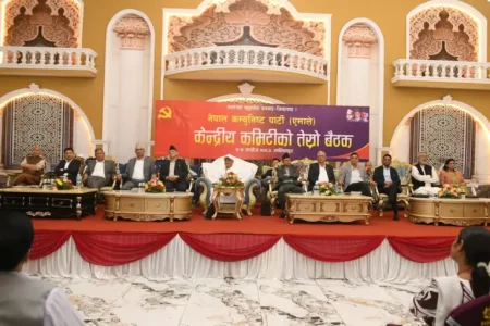 पदाधिकारीबाट उपाध्यक्ष पौडेल र महासचिव पोखरेलको मात्रै सम्वोधन, बैठकमा १ सय १८ केन्द्रीय सदस्यले राखे धारणा