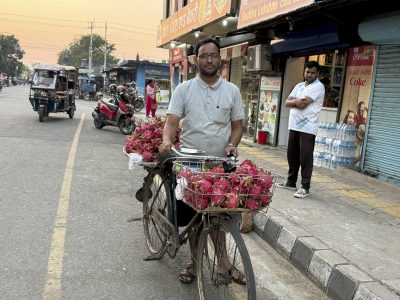 साइकलमा ‘ड्रागन फ्रुट’ बेचेर स्वरोजगारको सन्देश प्रवाह गर्दै उद्यमी पन्त