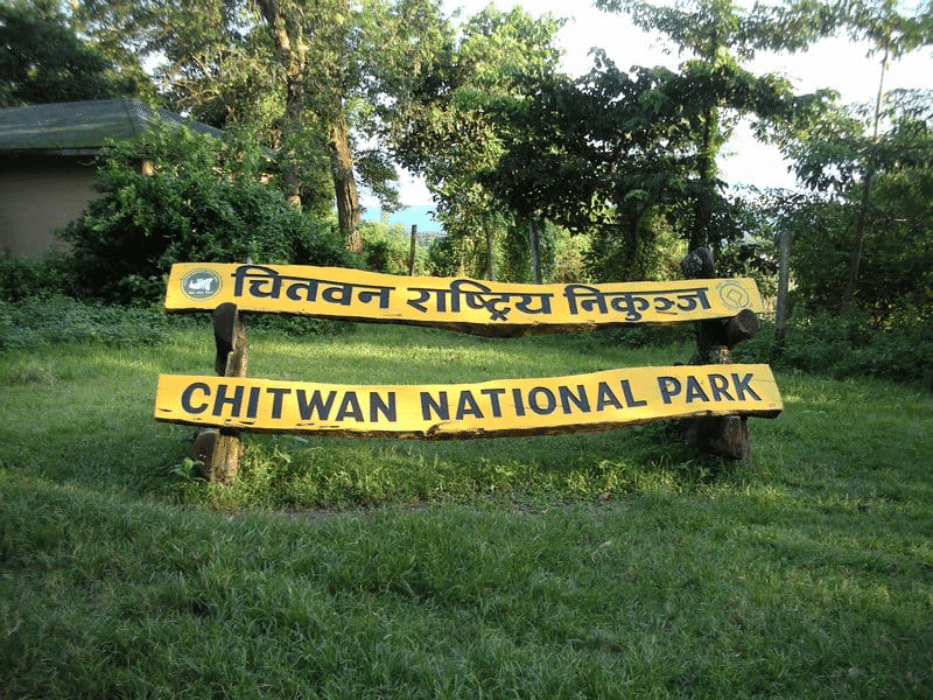चितवन राष्ट्रिय निकुञ्जमा इ-टिकटिङ सुरु : घरबाटै प्रवेश टिकट काट्न सकिने