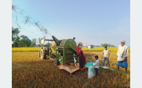 थ्रेसर मेसिन सञ्चालन गरेर गाउँमै स्वरोजगार