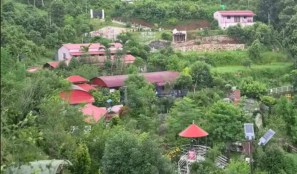जडीबुटी उद्यान अवलोकन गर्न तनहुँको झाङ्गाझोली